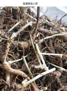 林残下参残参锈参新鲜野山参51斤长白人参野生参山00g特价XDB老山