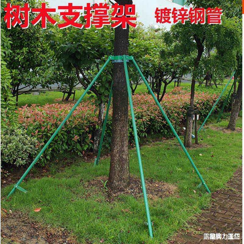 树木支撑固定器抱箍防风杆绿化镀锌钢管支撑架苗木支架乔木固定杆