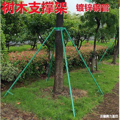 树木支撑固定器抱箍防风杆绿化镀锌钢管支撑架苗木支架乔木固定杆