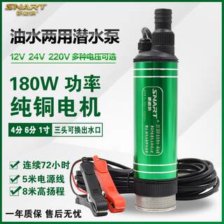 新款大流量自吸潜水泵12v电动抽油泵24v小型抽水泵220v抽酒泵家用