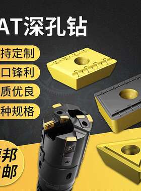 BTA深孔钻支撑片块800-06A/07A/08A/10A/12A/14D065/16D075/PMA