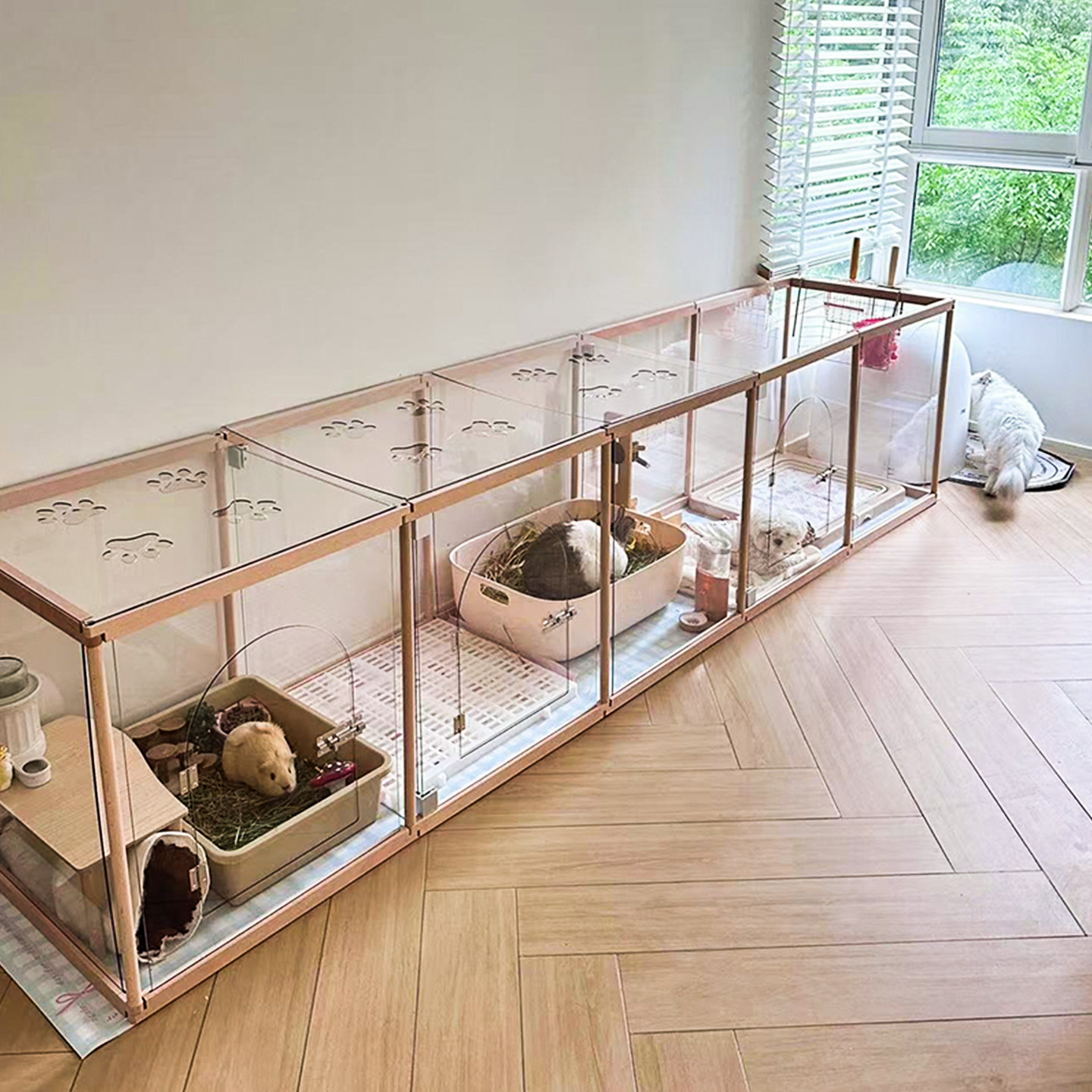 蘑菇宠物围栏封顶防越狱隔离栅栏兔笼透明猫围栏实木小型犬专用,宠物/宠物食品及用品,兔笼,淘宝优惠券,粉丝福利购,淘宝优惠卷