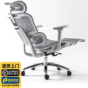速发朗域W调节椅pro人体工学椅电电椅久坐椅可脑竞椅座椅子躺办公
