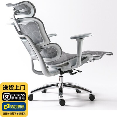 速发朗域W调节椅pro人体工学椅电电椅久坐椅可脑竞椅座椅子躺办公