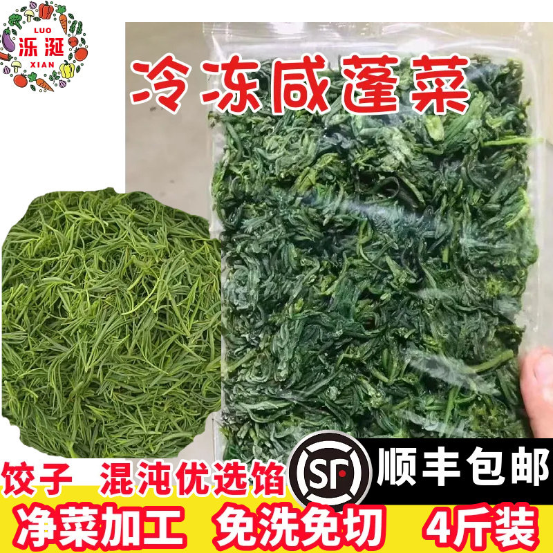 新鲜冷冻整颗黄须菜盐蓬菜咸蓬菜黄西菜盐碱地特产饺子混沌包子馅 - 实物图
