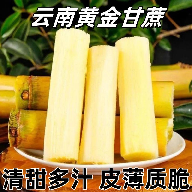 云南黄金甘蔗甘甜新鲜水果孕妇当季绿皮黄皮白玉甘蔗甜多汁现摘,水产肉类/新鲜蔬果/熟食,甘蔗,淘宝优惠券,粉丝福利购,淘宝优惠卷