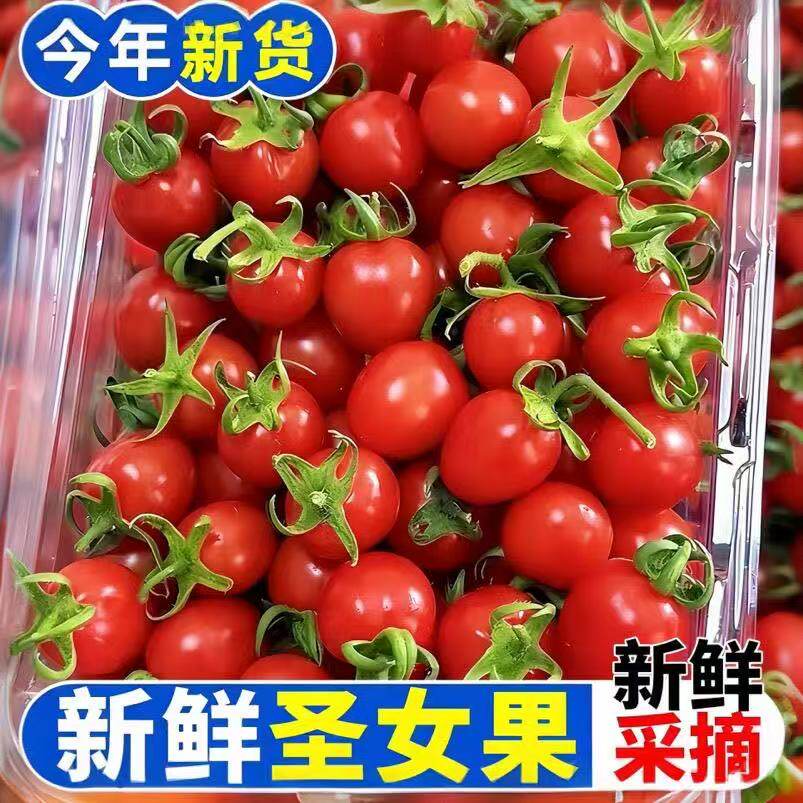 广西圣女果正宗红色小番茄新鲜水果批发应季孕妇果蔬非千禧果