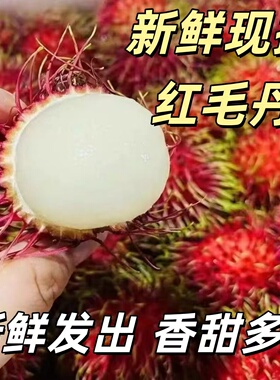 红毛丹新鲜多汁毛荔枝水果红毛果甜孕妇当季甜现摘现发整箱包邮
