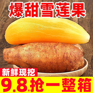 正宗云南天山雪莲果新鲜水果当季黄心红心特级大果脆甜一整箱包邮
