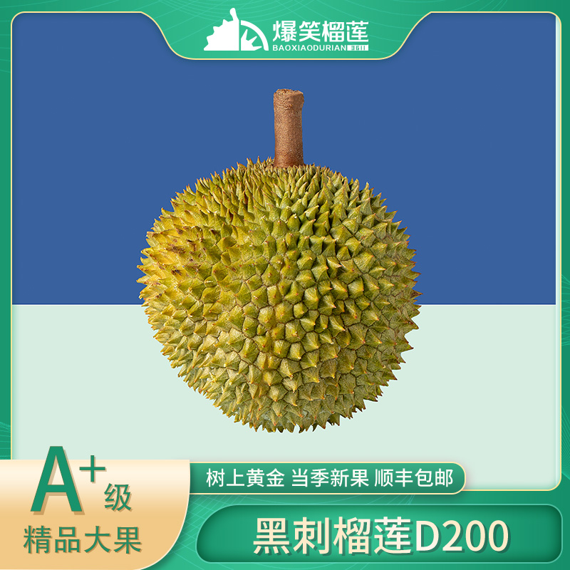 爆笑榴莲黑刺榴莲D200顺丰包邮