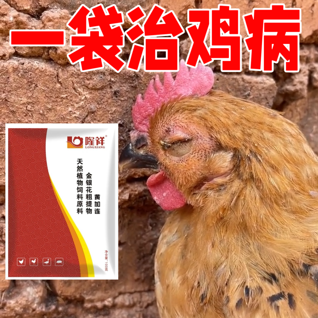 隆祥黄加连鸡瘟药绿色稀粪闭眼瞌睡打蔫炸毛不吃感冒发烧瘫痪不起