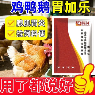 胃加乐鸡药嗉囊鼓大不消化吐水过料小瘦不长不长大小不一