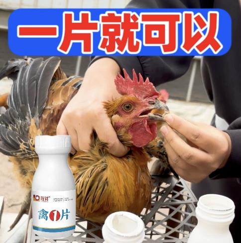 Извлечение различных китайских трав, таких как цыплята, утки, гуси, сложные ситуации, жимоточки, солодку и т. Д.