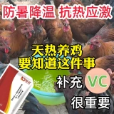 Витамин С горячий, а температура высока. Цыплята не любят есть ингредиенты. Откройте рот и дышите без остатков. Longxiang