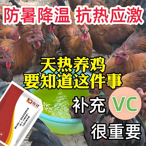 Витамин С горячий, а температура высока. Цыплята не любят есть ингредиенты. Откройте рот и дышите без остатков. Longxiang