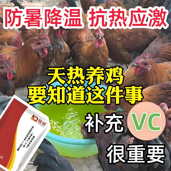 Товары от 隆祥豆豆养殖商城