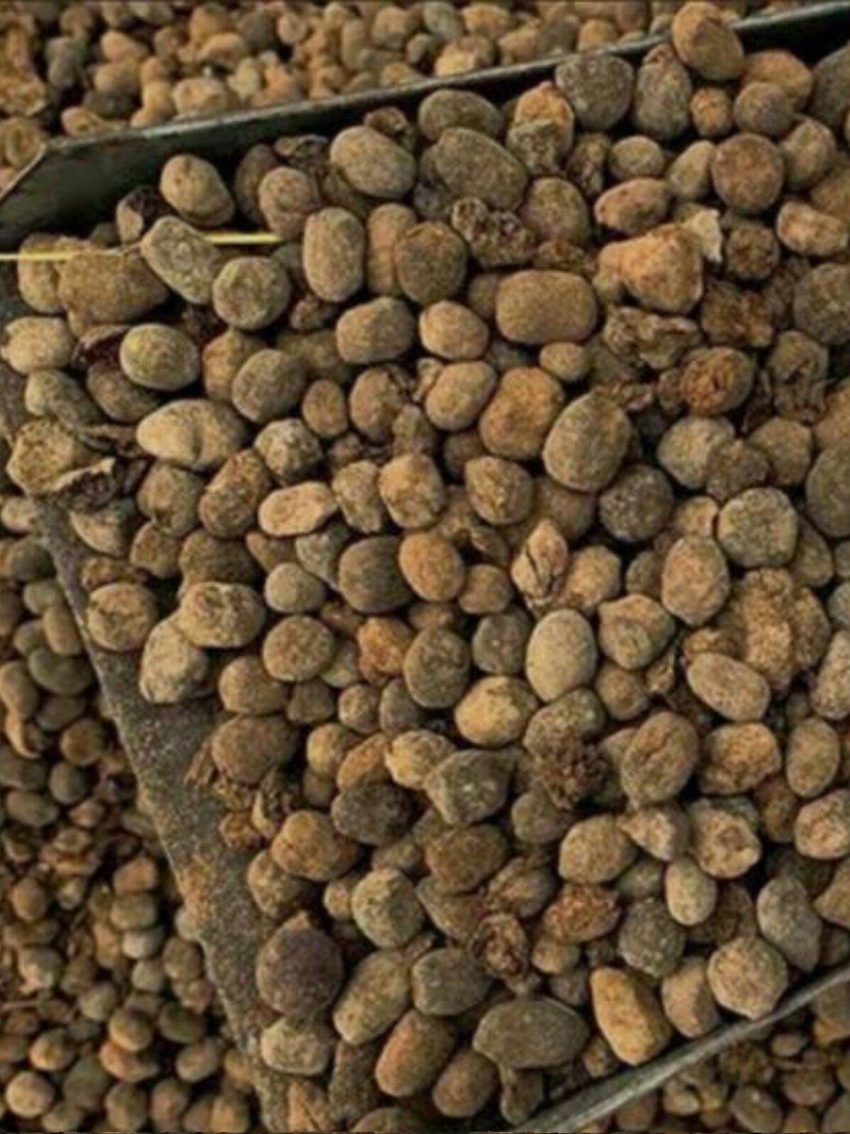 促羊粪发酵有机肥 料蔬菜花卉 羊粪颗粒蛋粪便100斤 纯羊粪肥农家