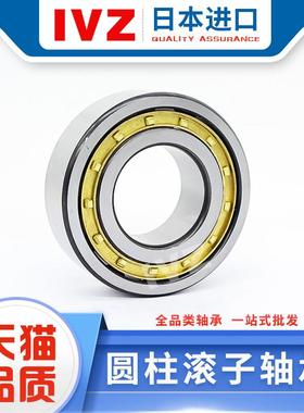 日本圆柱滚子进口轴承N203 N204 N205 N206 EM P4 P5 铜保持架