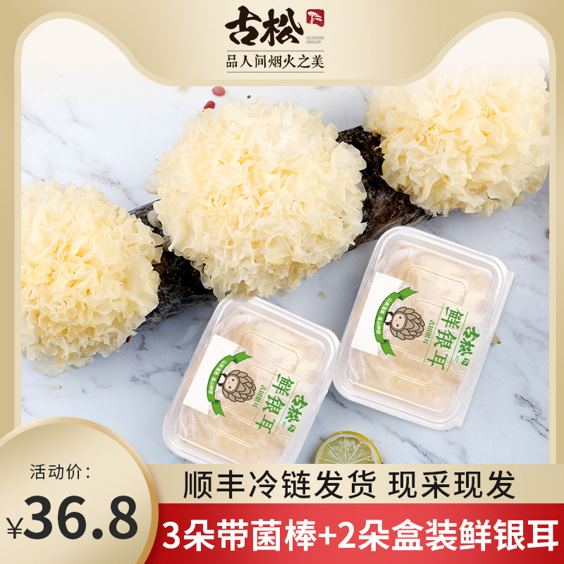 古田新鲜银耳带菌棒雪耳非干货白木耳银耳莲子羹5朵装500g