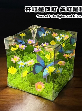 绿野仙踪礼盒室内小众送女生日礼物家居摆件小夜灯创意氛围装饰品