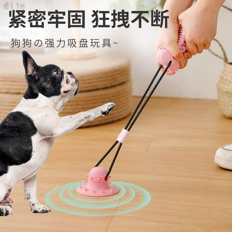 狗狗玩具 训练互动洁牙漏食球狗狗吸盘拉绳玩具解压趣味 宠物玩具,宠物/宠物食品及用品,猫狗特色玩具,淘宝优惠券,粉丝福利购,淘宝优惠卷