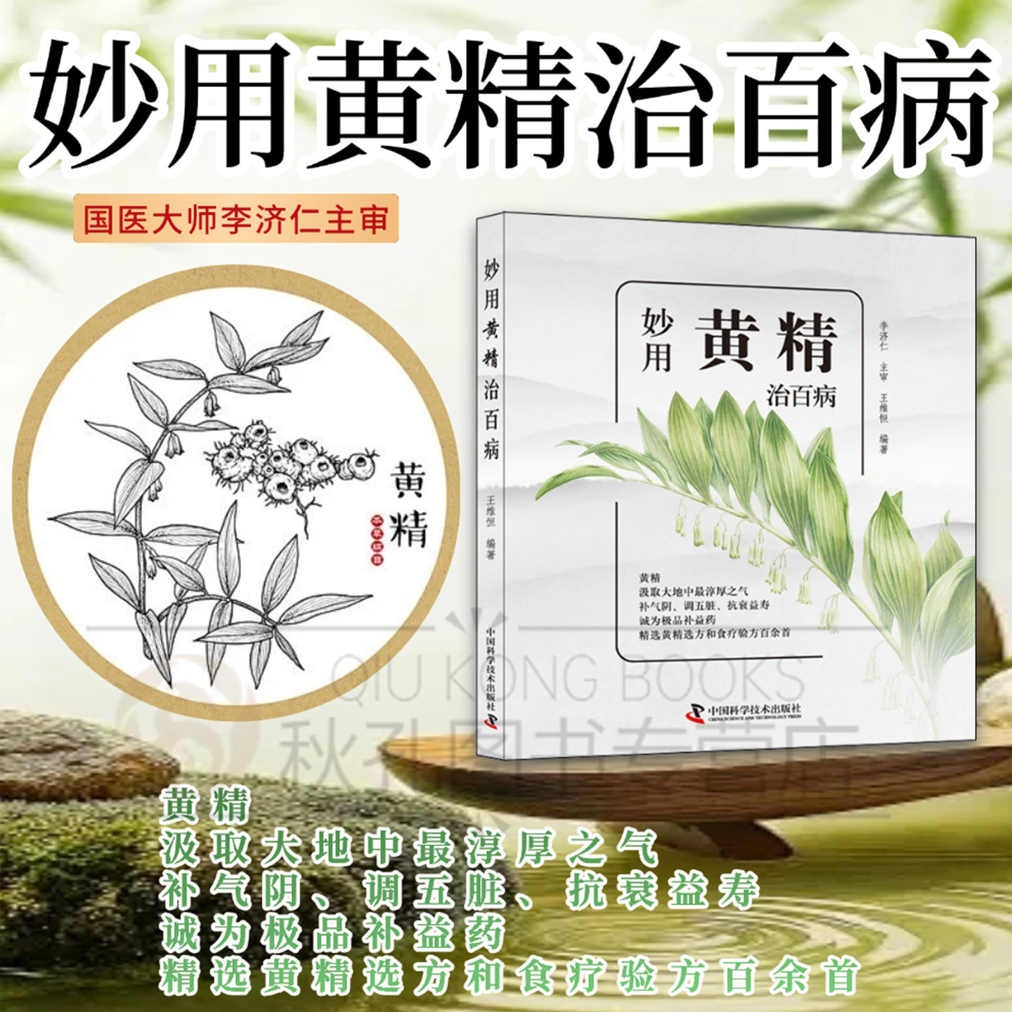 妙用黄精治百病 王维恒 中国科学技术出版社 适合百姓养生保健参考的食疗科普书 介绍了黄精的性味功效药用保健常识及多种疾病