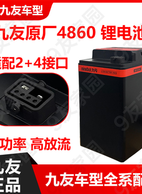 九号4860电池2+4原厂9号Fz3 F2z110猎户座mk2DZ/mmax110P增程电池