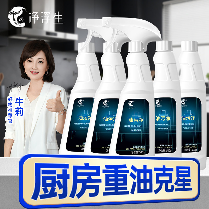 净浮生多功能油污净泡沫型喷雾