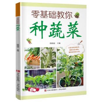 零基础教你种蔬菜段晓猛主编青岛出版社家庭阳台种菜教程新手入门种植技术指导家庭小菜园栽培方法蔬菜种植技巧大全家庭种菜绿色蔬