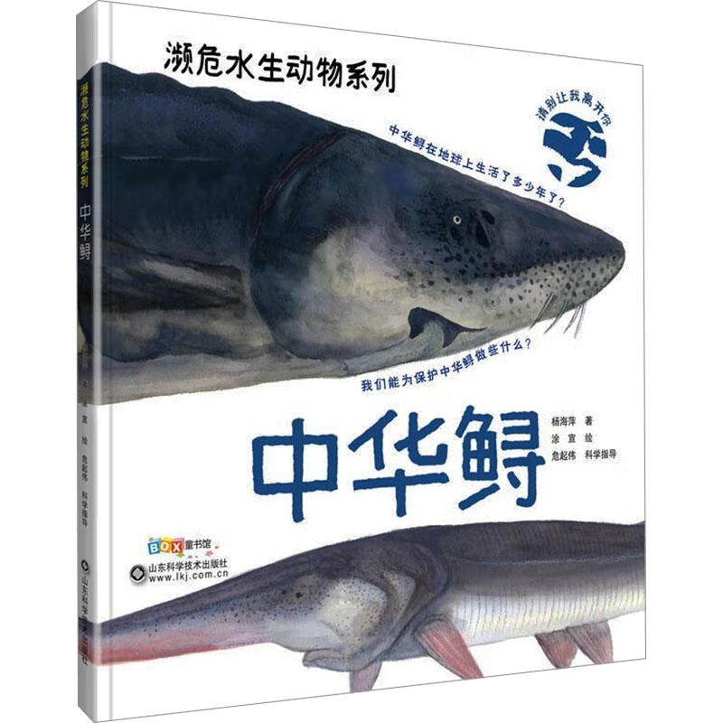 中华鲟杨海萍著涂宣绘山东科学技术出版社濒危水生动物国家一级保护鱼类古老物种长江鱼王生命密码自然科普保护生物多样性儿童启蒙