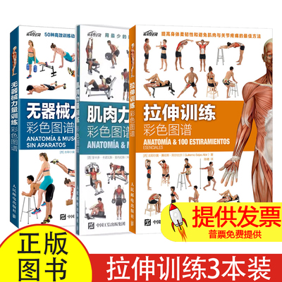 【任选】拉伸训练彩色图谱+肌肉力量训练彩色图谱+无器械力量训练彩色图谱 运动健身健美训练书健身书籍 人民邮电出版社
