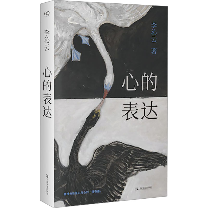 心的表达李沁云上海文艺出版社社会科学心理学心理治疗师求索过程精神分析从业笔记心灵深处情感表达案例分析心理治疗职业心理咨询