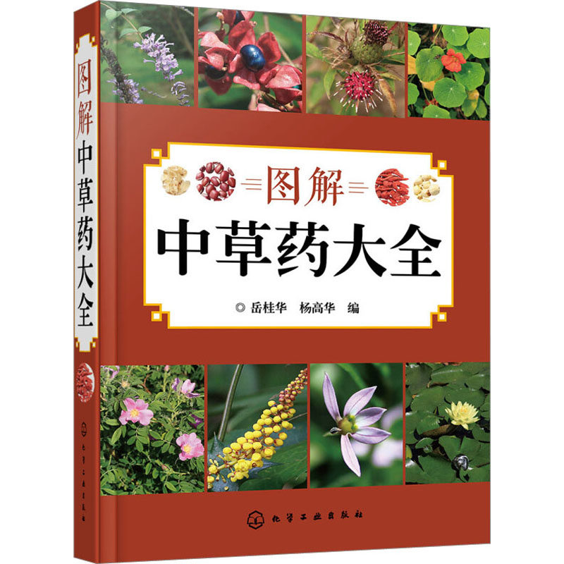 图解中草药大全  （精装彩图版）岳桂华、杨高华 编化学工业出版社9787122272935医学卫生/药学