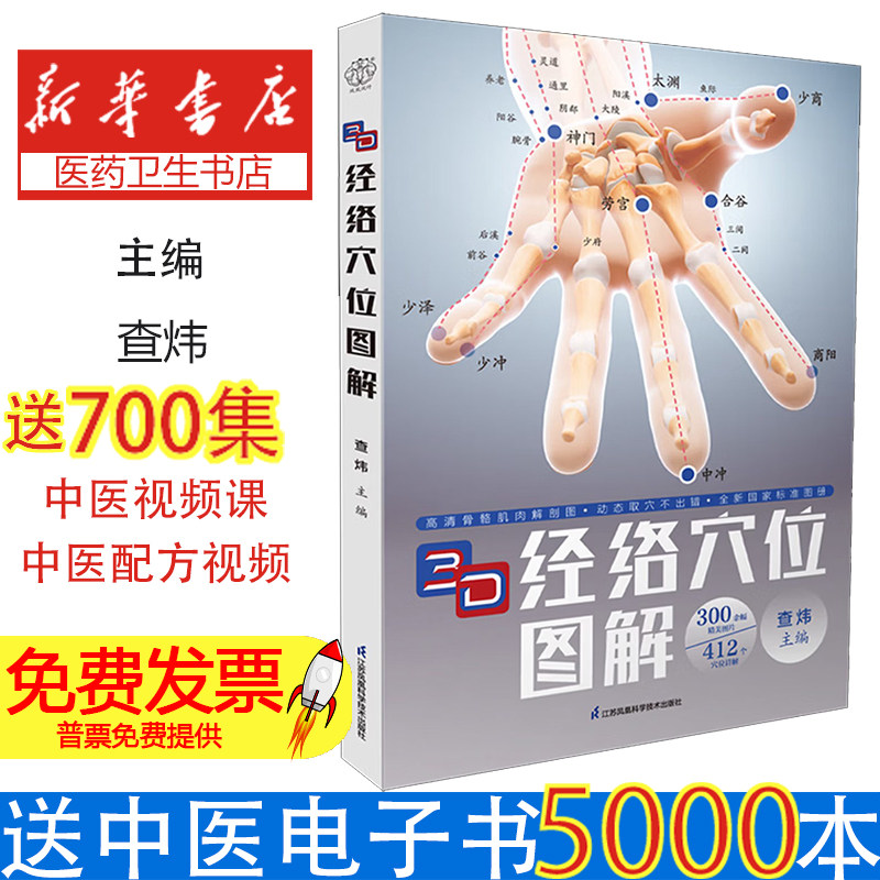 3D经络穴位图解汉竹查炜江苏凤凰科学技术出版社9787571351878保健心理家庭医生经络穴位养生零基础入门穴位详解三维呈现动态演示