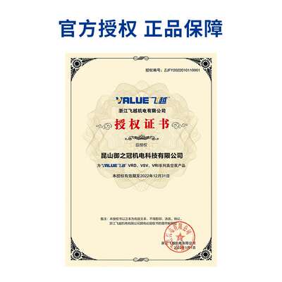 Value飞越真空泵旋片式实验室工业VSV100/300双级VRD-8/16/24/65