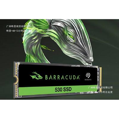 适用于希.捷（SEAGATE）1TBSSD固态硬盘ZP1024CM3A003现货其他