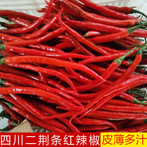 四川二荆条红辣椒现摘现发