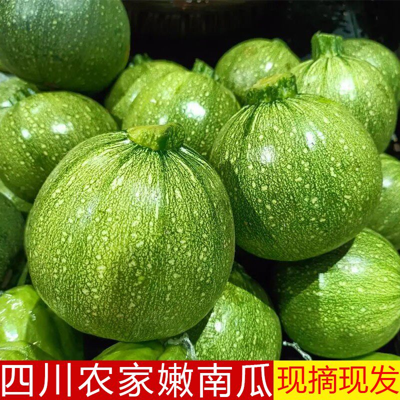 四川嫩南瓜新鲜农家蔬菜现摘现发