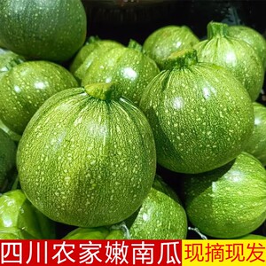 四川嫩南瓜新鲜农家蔬菜现摘现发