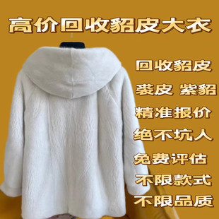 专业高价回收貂皮裘皮貂皮回收精准评估皮草全国各地回收