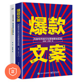 销售力文案2本套：爆款 文案：内容写作技巧与营销策划实操 这样写文案 产品 学写爆款 就没有卖不动 管理类书籍管理科学 正版