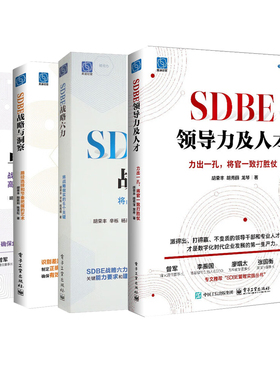 SDBE战略管理全4册：SDBE领导力及人才+SDBE战略六力：将战略做实的6个关键+SDBE战略与洞察+SDBE卓越运营