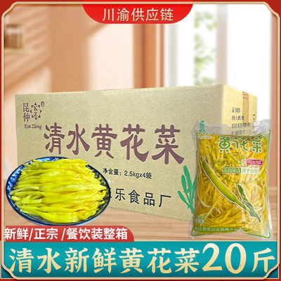 清水黄花菜商用新鲜火锅冒菜串串