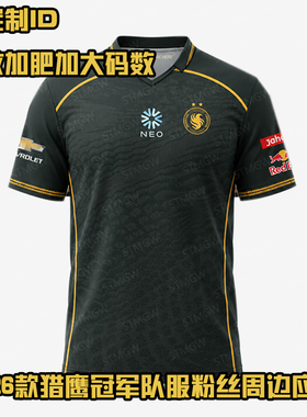 2星猎鹰队服POLO翻领m0NESY战队服NIKO衣服major短袖t恤定制CSGO