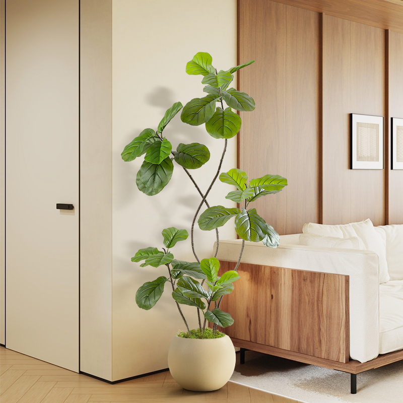 速发琴叶榕绿植高地轻奢室内客厅沙发旁边装端落饰摆件仿生假植物