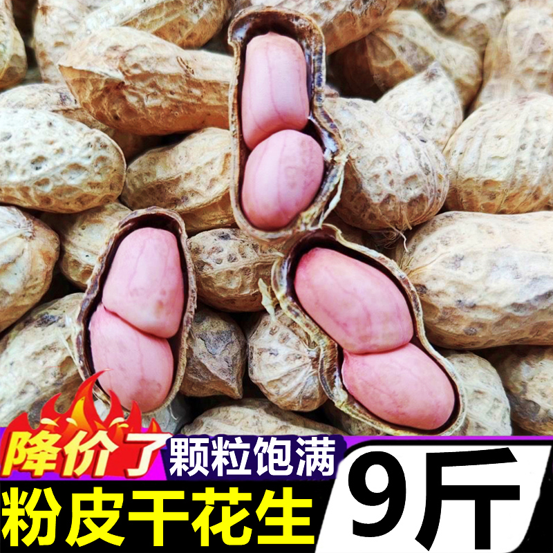 2023粉皮干花生10斤当季广东带壳生花生米现挖带泥红皮湿花生批发