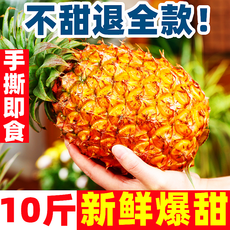 正宗超甜海南金钻凤梨10斤特级应当季新鲜水果香水菠萝手撕甜凤梨 水产肉类/新鲜蔬果/熟食 菠萝 原图主图