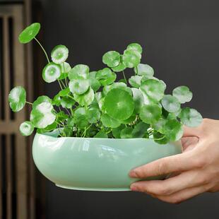 铜钱草专用花盆花边青白色大号家用客厅阳台带托水培绿植陶瓷 中式