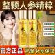 人参精粹抗皱紧致精华提亮肤色改善肌肤补水保湿 旗舰店 官方正品