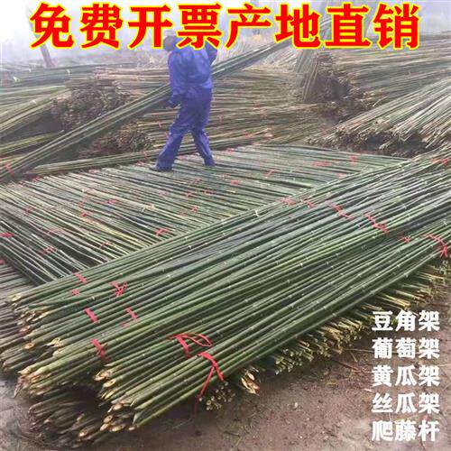 竹竿菜园搭架竹杆豆角黄瓜架子小竹子细竹竿棍竹篱笆围栏种菜架杆